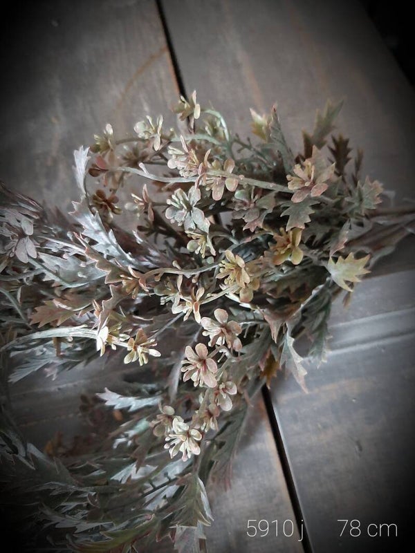 5910 1 jh-1 grey  hanging bush with little flowe