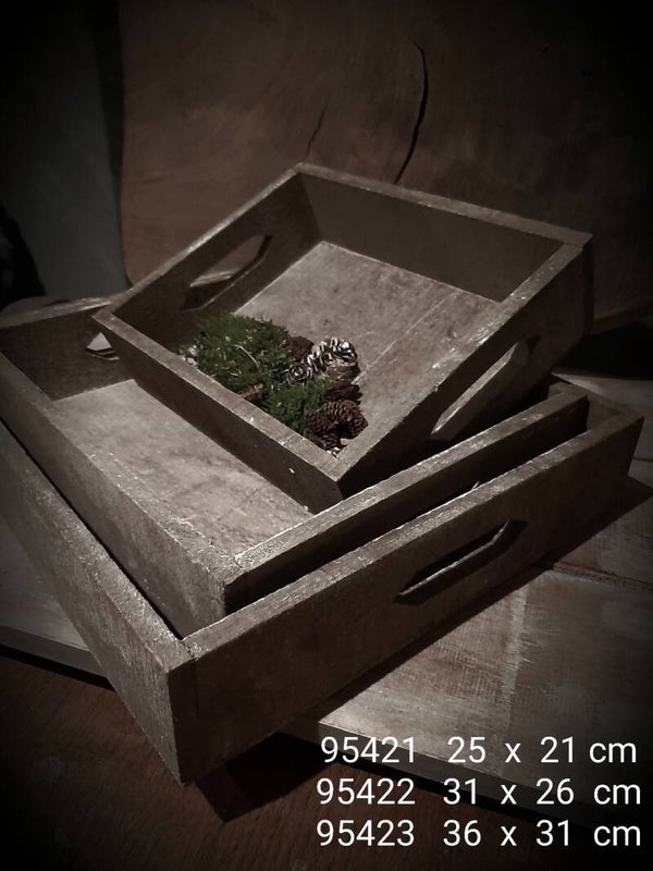 95422  dienblad M  31 x26 cm