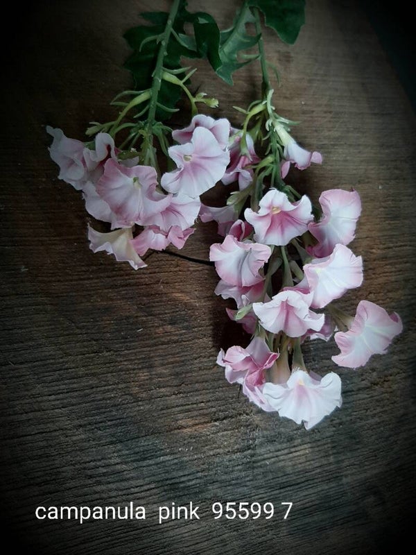 95599-7 per 12 campanula pink 77cm