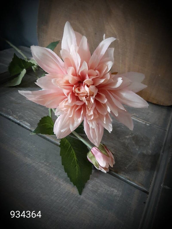 93436 4 dahlia peach