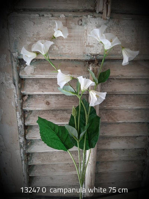 13247 0 campanula white 75cm