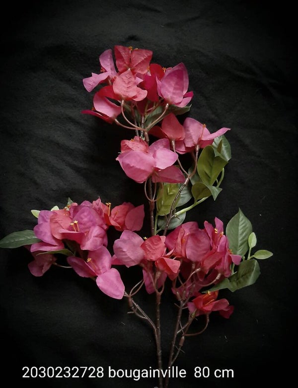 2030232728 bougainville  80 cm