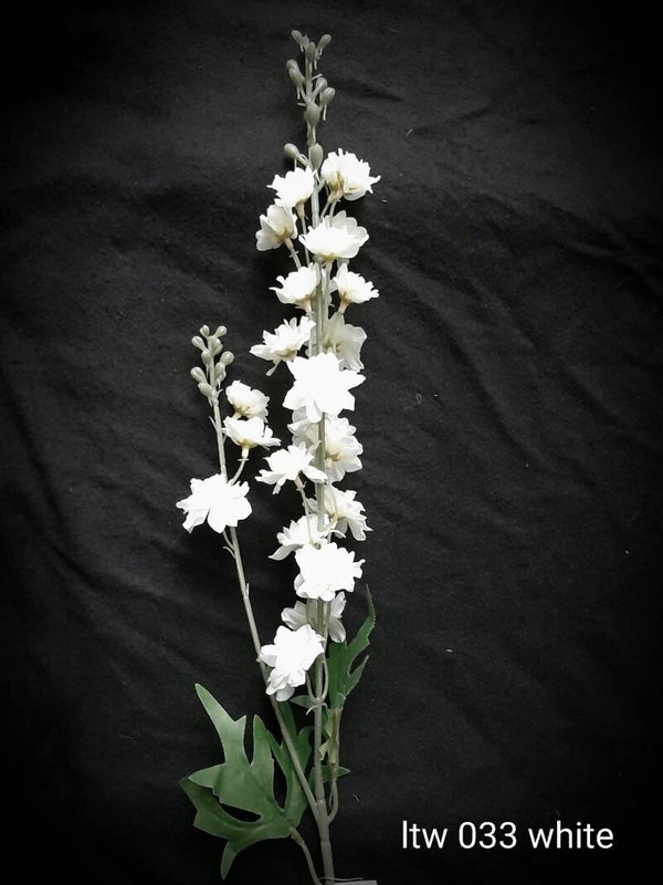 ltw 033 delphinium white