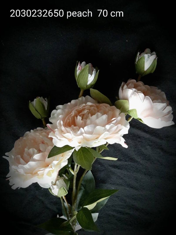 2030232650/pch per 12 peony peach 70 cm