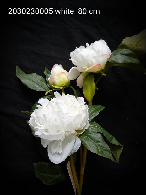 2030230005WH peony white 80 cm