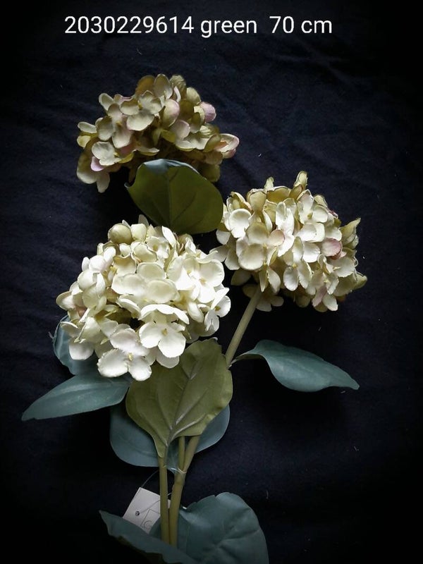 2030229614 hortensia gr green  70 cm
