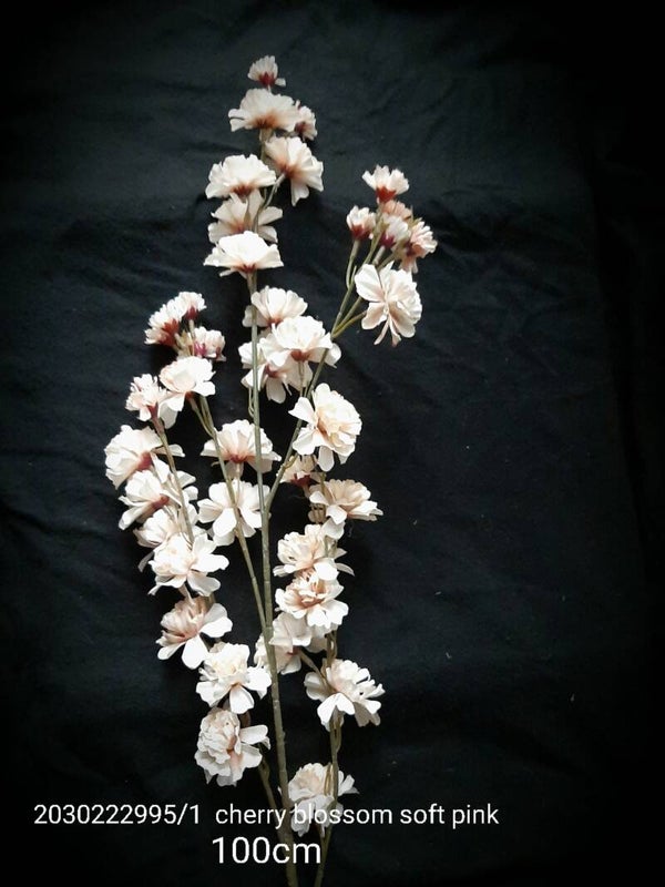 20302229951 cherry blossom mokka soft pink