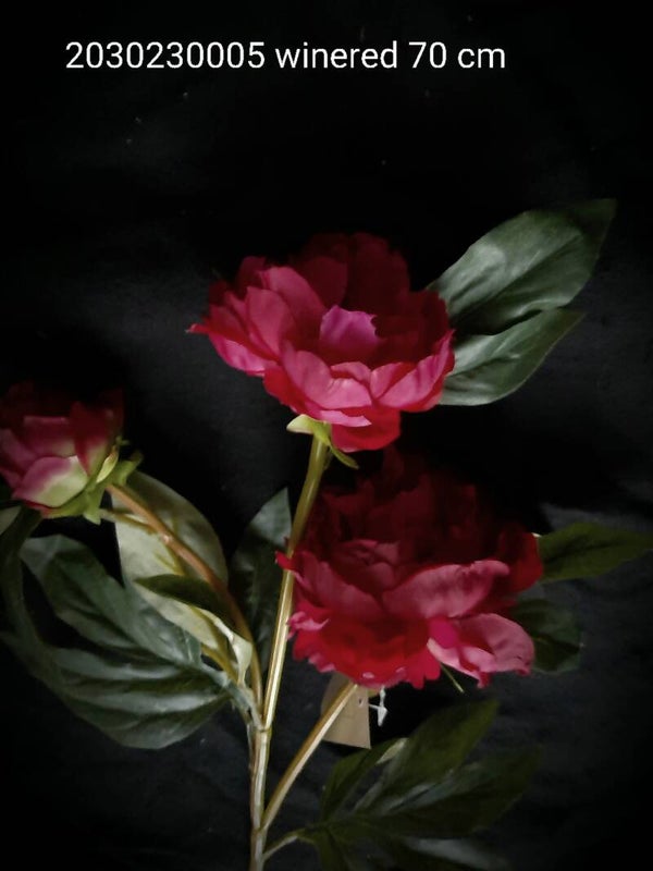 2030230005/WI peony  winered  wi  70 cm