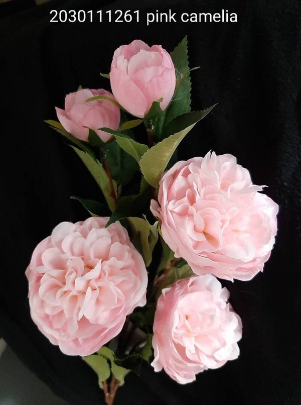 2030111261  camelia pink 95 cm