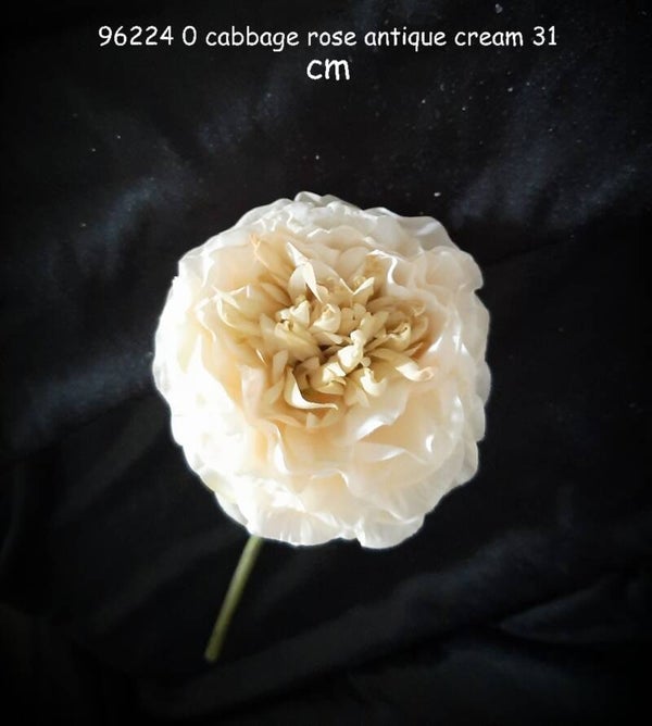 96224_0 cabbage rose misty cream