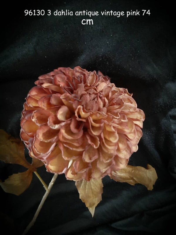 dahlia antique pink brown