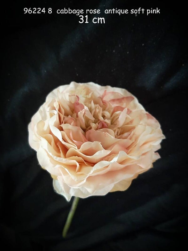 96224_8 cabbage rose misty soft pink