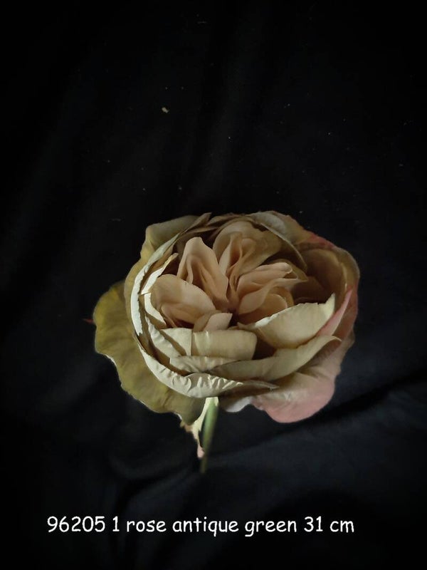 96205_1 rose misty green