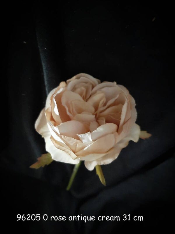 96205_0 rose misty cream