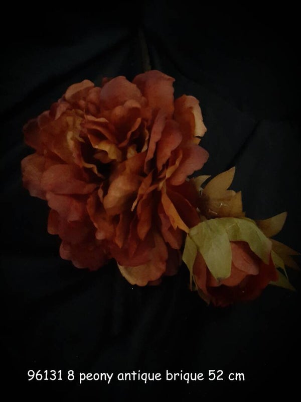 96131_8 peony misty brique