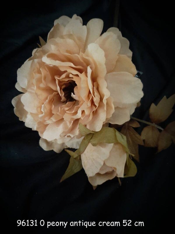 96131_0 peony misty cream