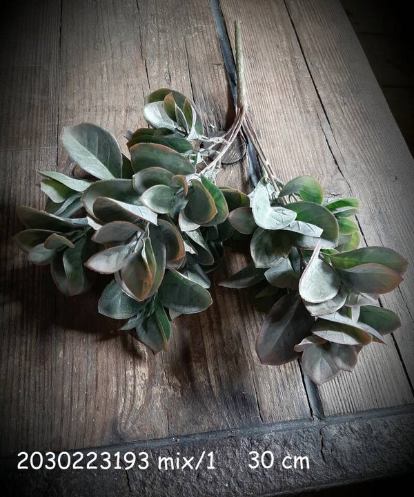 2030223193/1 bush leuco mix