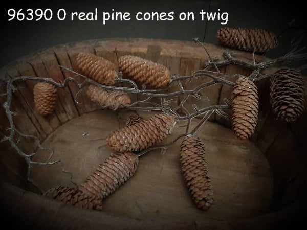 96390 0 real pine cones on twig