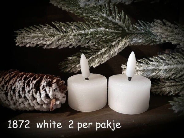 1872 waxine led wit per 2 in doosje  gaan per 6