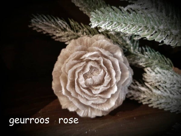 Geurrozen   rose