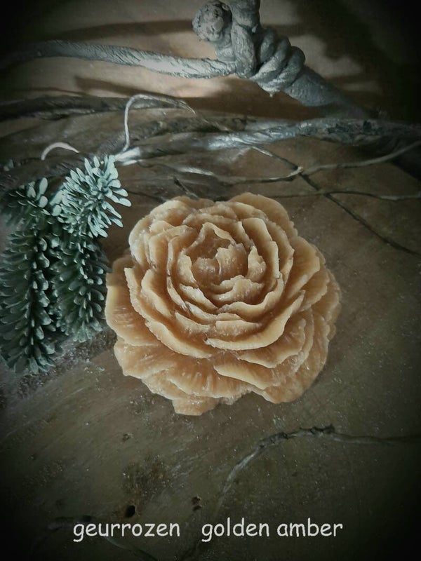 Geurrozen  golden amber