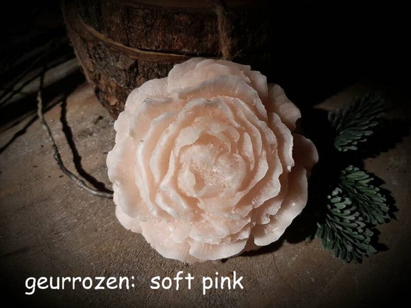 Geurrozen : soft pink
