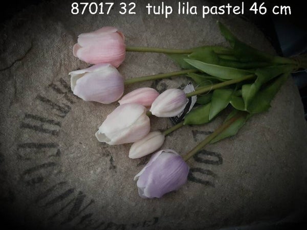 87017 32 tulp classic mix lila 7 stelen gaan per 6