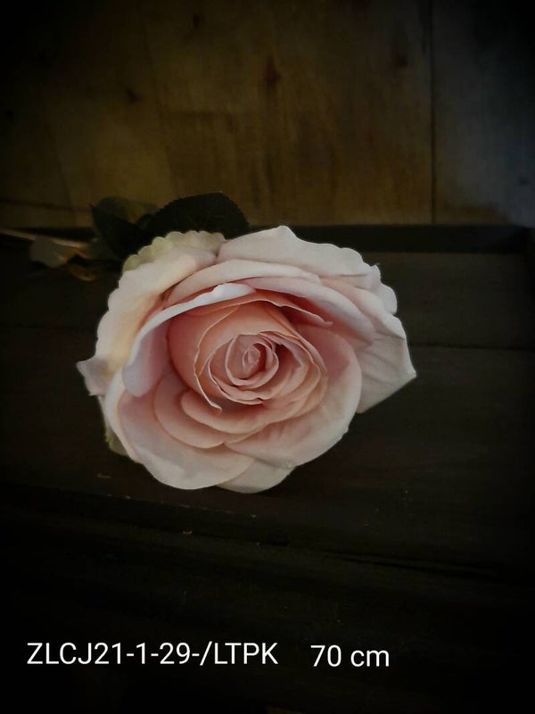 ZLCJ21-1-29/LTPK rose soft pink 70cm