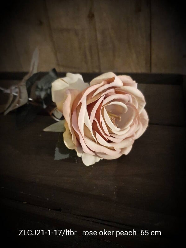 ZLCJ-21-1-17/LTBR rose oker peach 65 cm