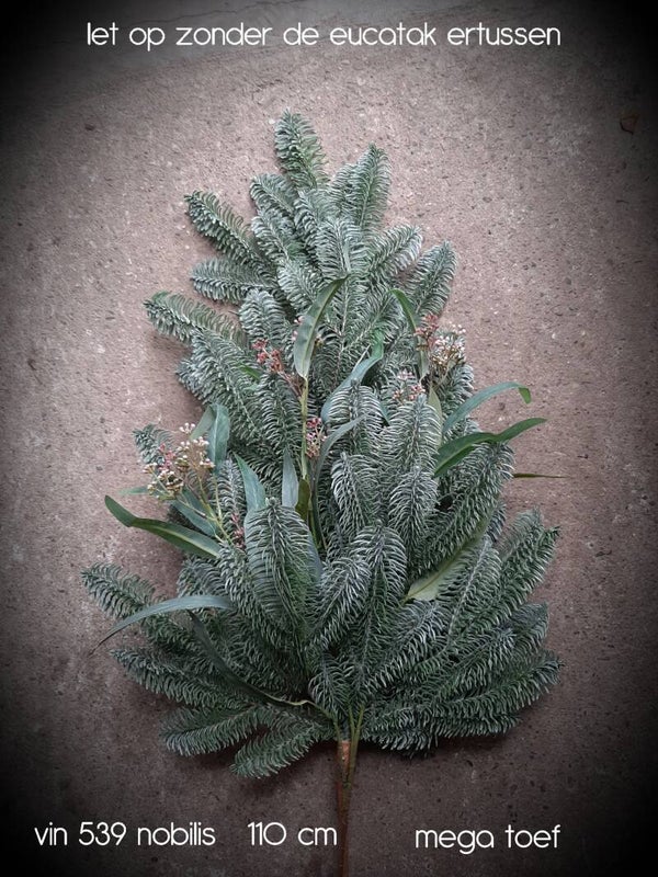 Vin 539 nobilistak  110 cm