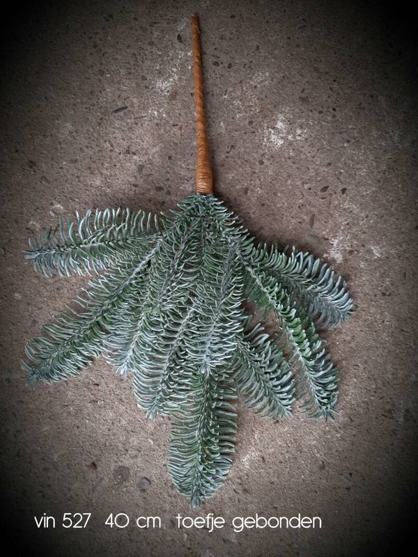 Vin 527 nobilistak 40 cm