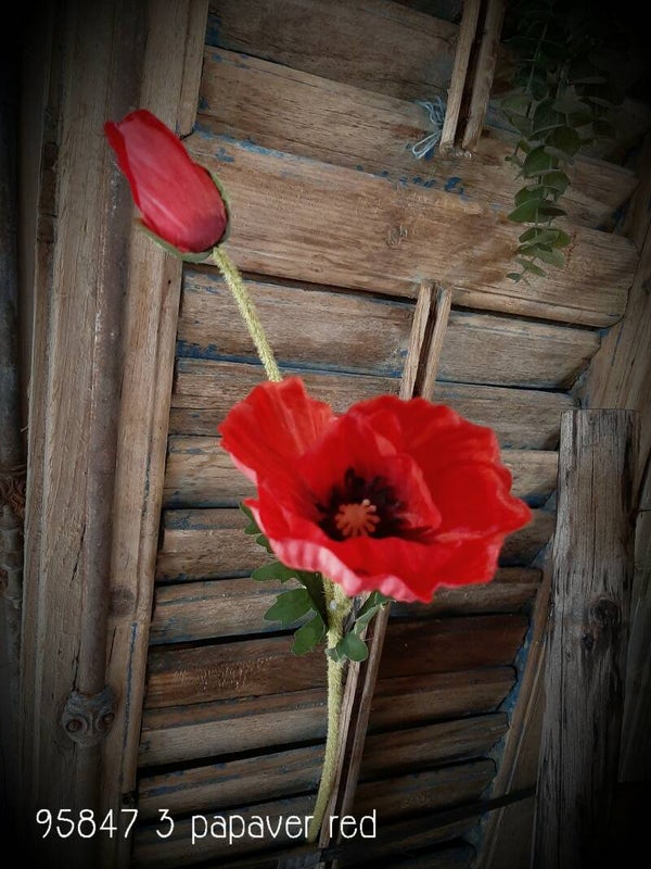 95847-3 papaver red  55 cm