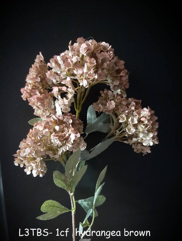 L3TBS- 1cf  hydrangea brown