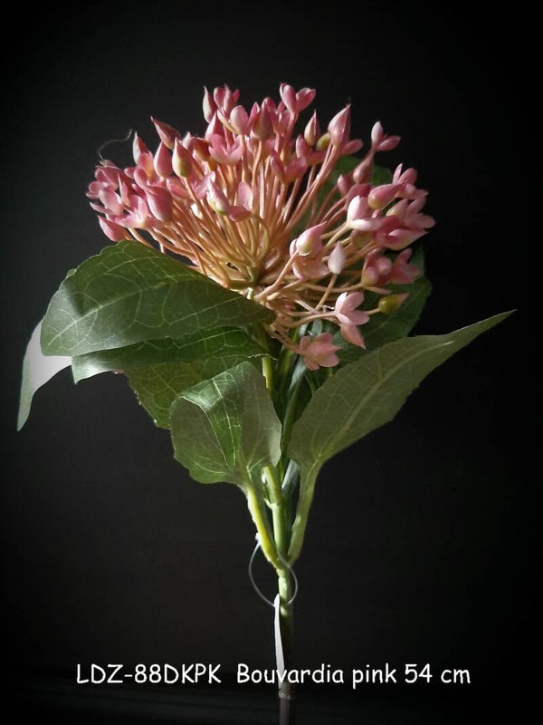 LDZ-88dkpk  bouvardia dark pink