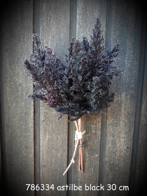 786334  astilbe bundle black