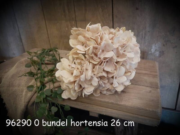 96290 0 bundel hortensia cream
