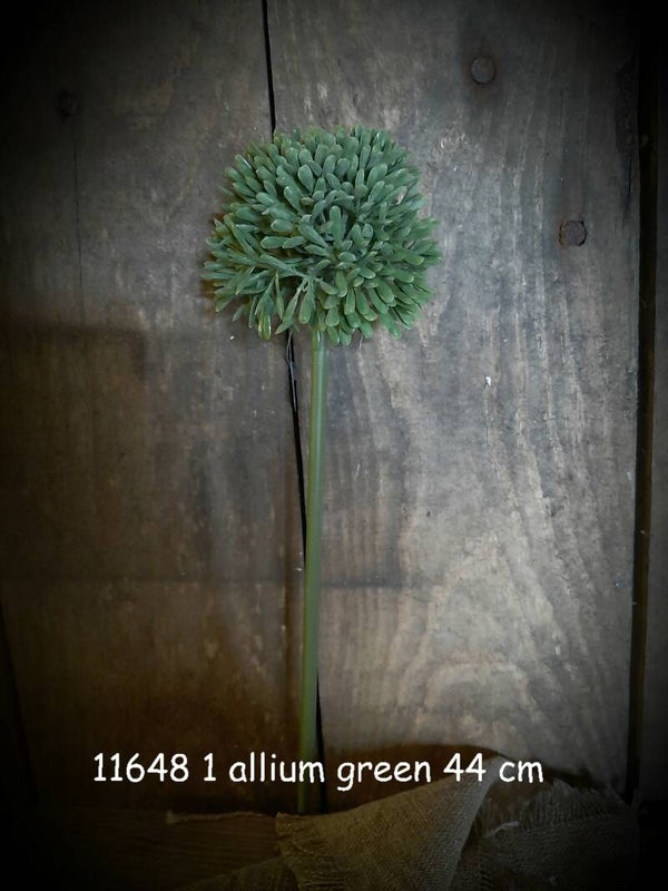 green allium 44cm