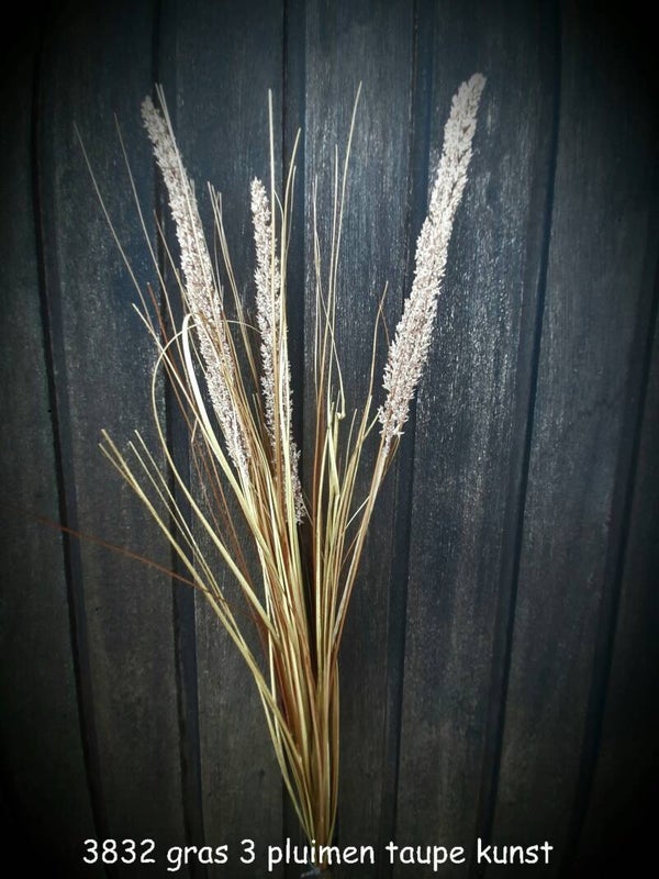 3832 tarwegras kunst