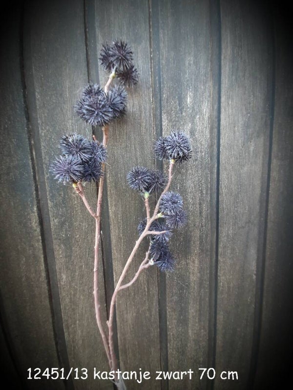 12451/13kastanje zwart