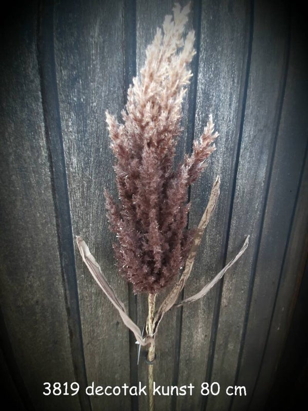 3819 astilbe tak donker taupe