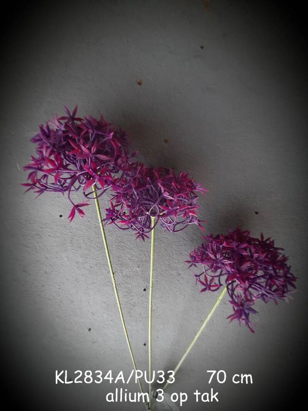 KL2834A/PU33 ALLIUM 3 bol