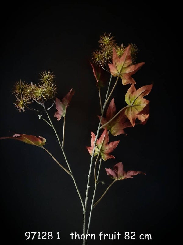 97128 1 thorn fruit 82 cm