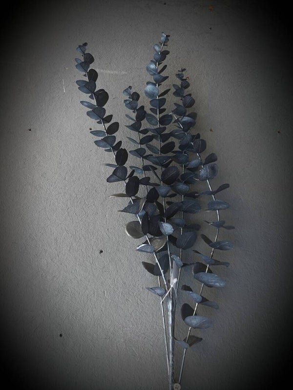 HZY-ÄĹ220157 EUCALYPTUS BLACK 80 CM