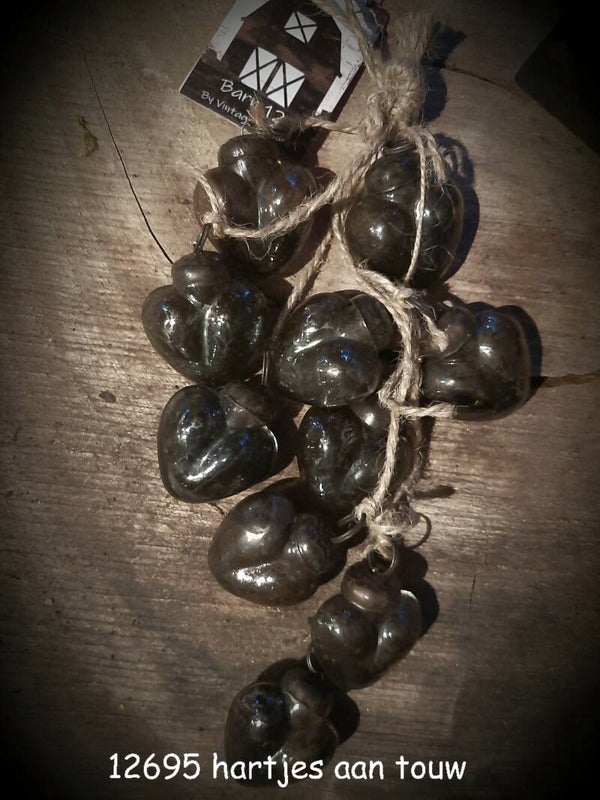 121695 hartjes aan touw