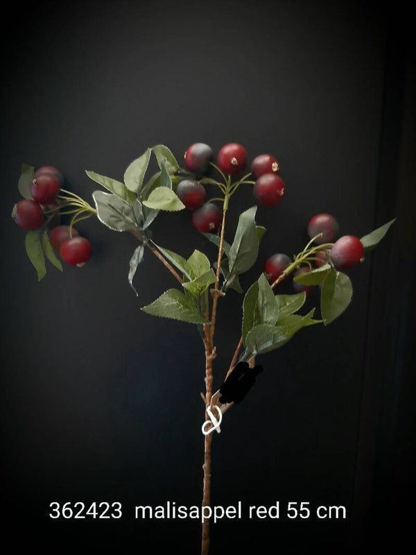 362423 malisappel red 55 cm