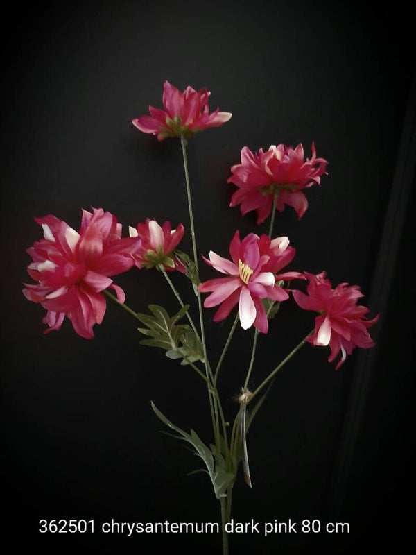 362501 chrysantemum pink 80 cm