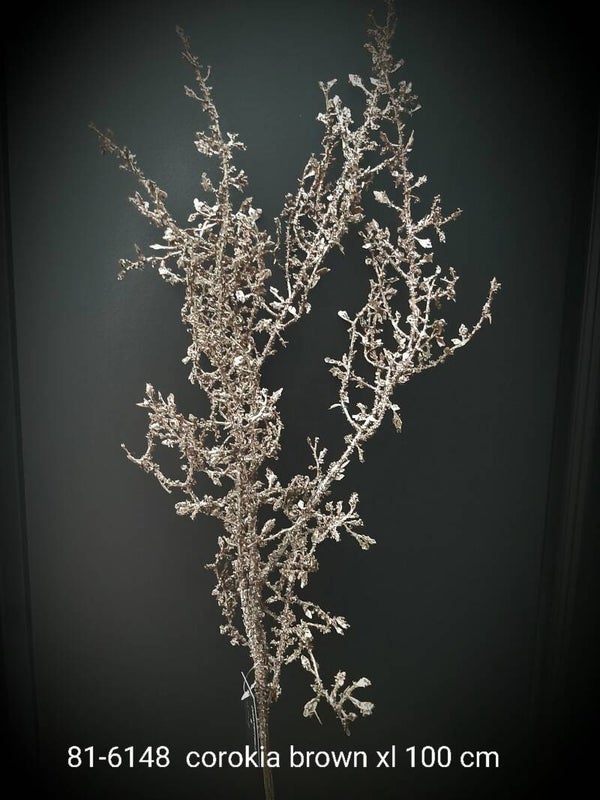 81-6148 corokia 100 cm