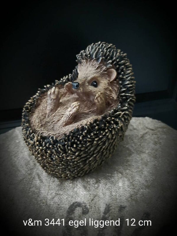 3441 egel  liggend 12 cm