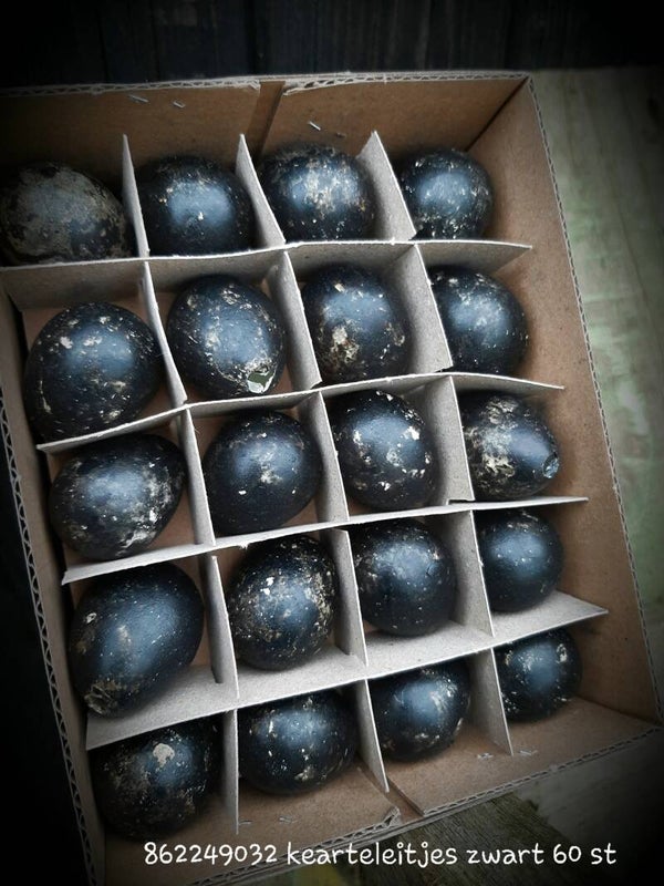 862249032 zwarte kwarteleitjes