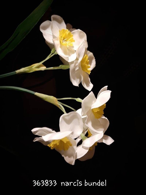 Narcis white yellow bundle